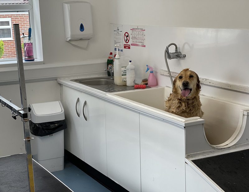Warley Cross Kennels and Cattery - Bath_Time