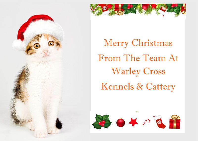Merry Christmas from The Warley Cross Team